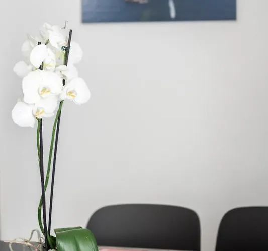 شقة Paradise 320 *